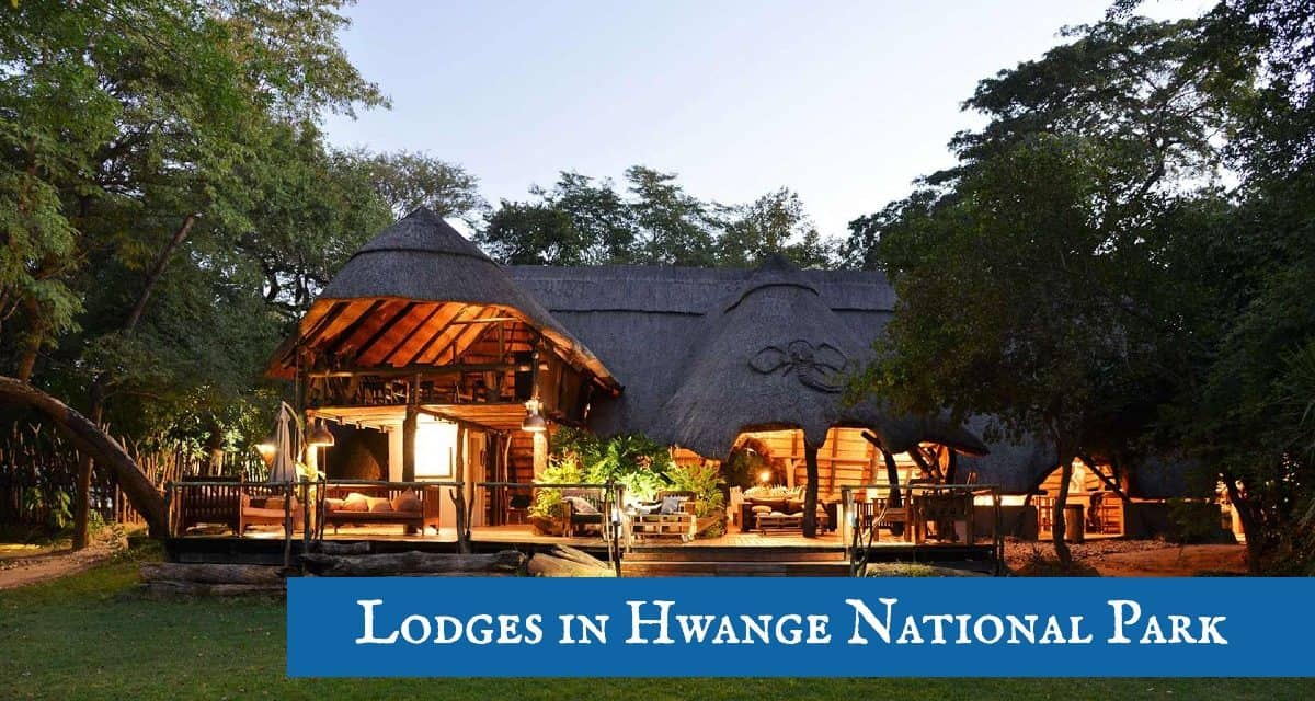 Booking 10 of the Best Lodges to stayin  on a Zimbabwe Safari Tour in Hwange